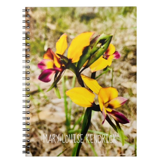 Donkey Orchids Notebook (Front)