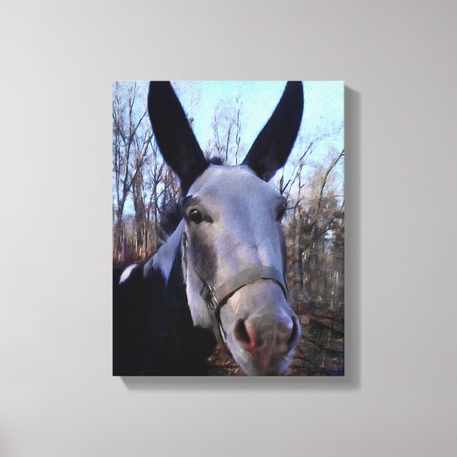 Donkey Painting Canvas Print (Front)