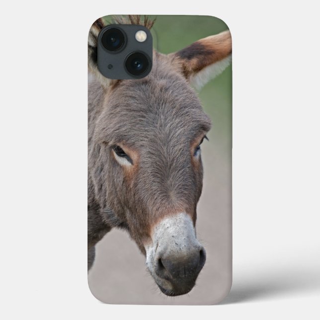 Donkey Portrait iPad Case (Back)