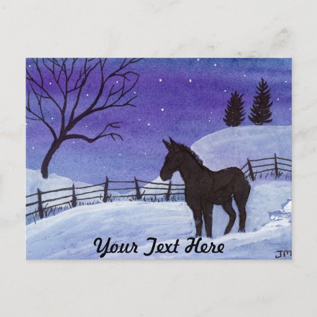 Donkey Postcard (Front)