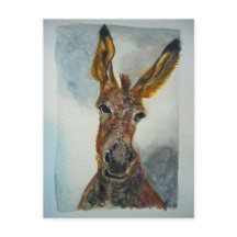 Donkey Postcard