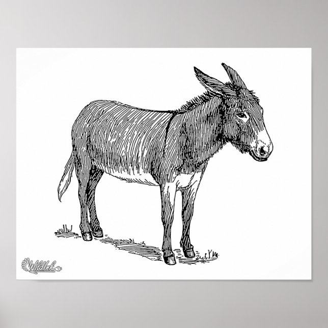 Donkey Poster (Front)