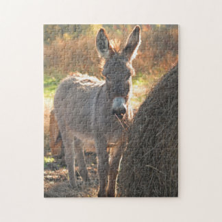 Donkey Puzzle