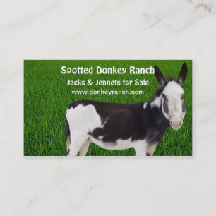 Donkey  Ranch Business Card