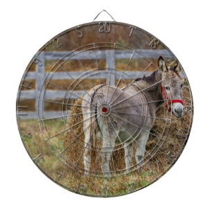 Donkey Tail Dartboard