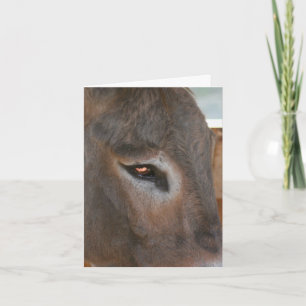 Donkey Thoughts Farm Animal Note Card