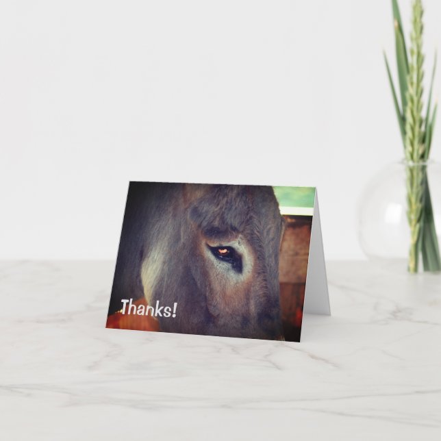 Donkey Thoughts Farm Animal Thank You Card (Front)