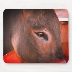 Donkey Thoughts Mouse Pad