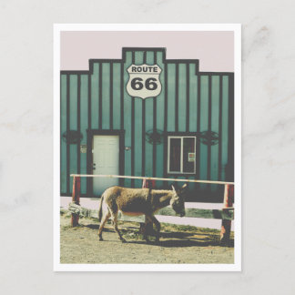Donkey Town Oatman Arizona Postcard