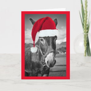 DONKEY WEARING Santa hat CHRISTMAS CARD