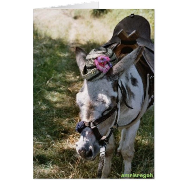 donkey with hat (Front)