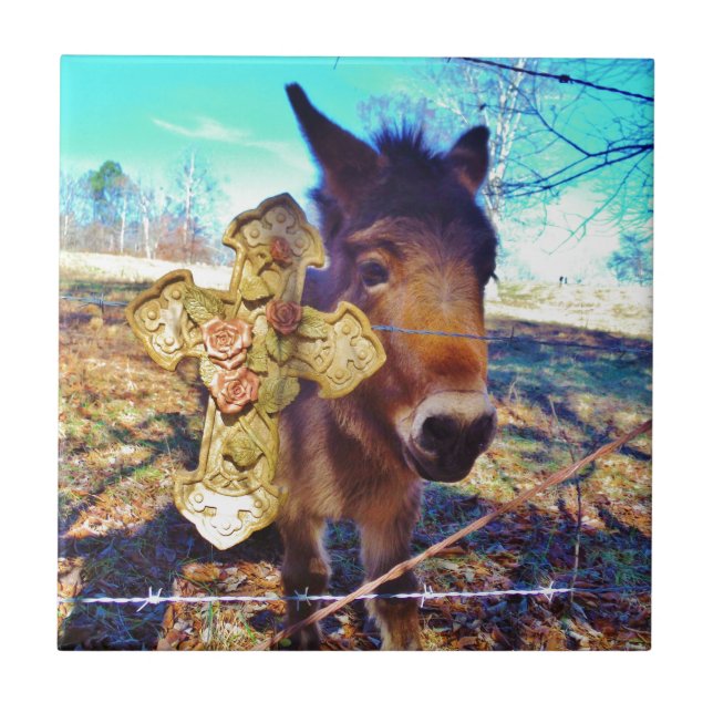 Donkey with Rose Cross Tile (Front)