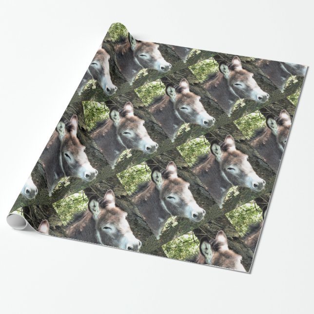 DONKEY WRAPPING PAPER (Unrolled)