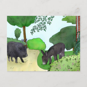 donkeys and pigs postcard