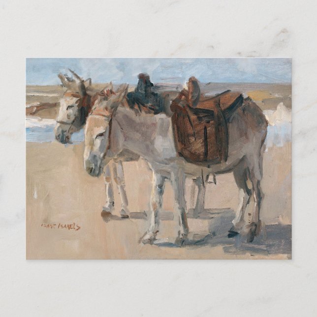 Donkeys at the Beach Postcard (Front)