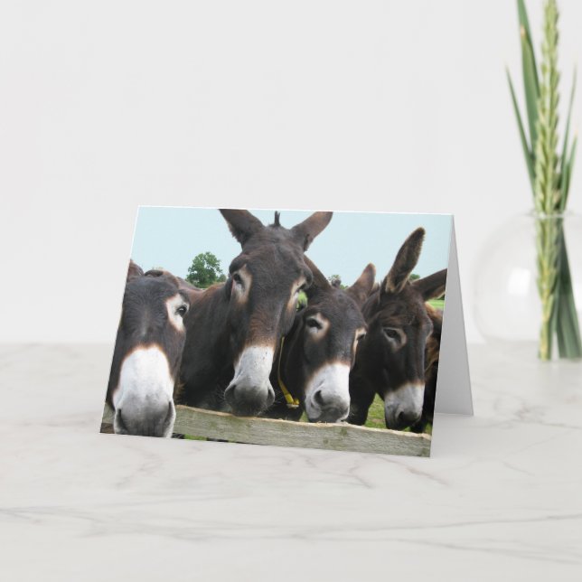 Donkeys Card (Front)