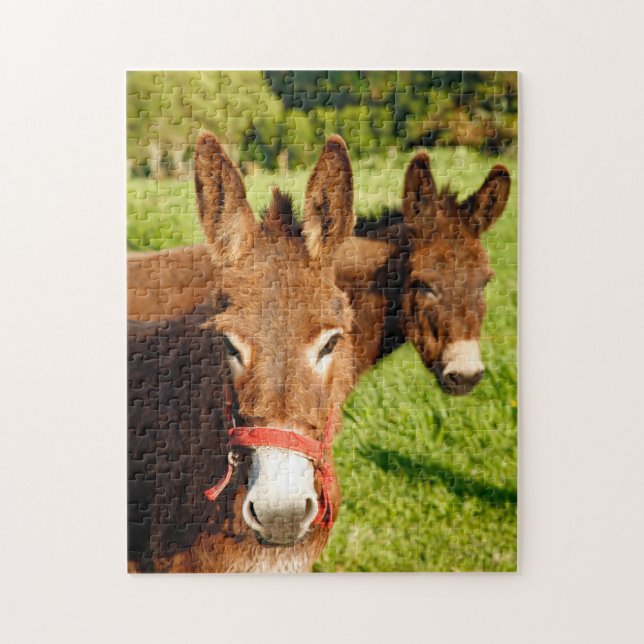 Donkeys Jigsaw Puzzle (Vertical)