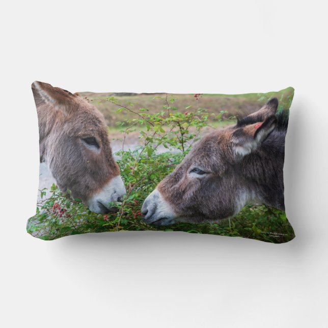 Donkeys, Lumbar Pillow (Front)