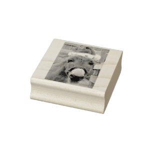 "Donkeys Make Great Santas!" Rubber Stamp
