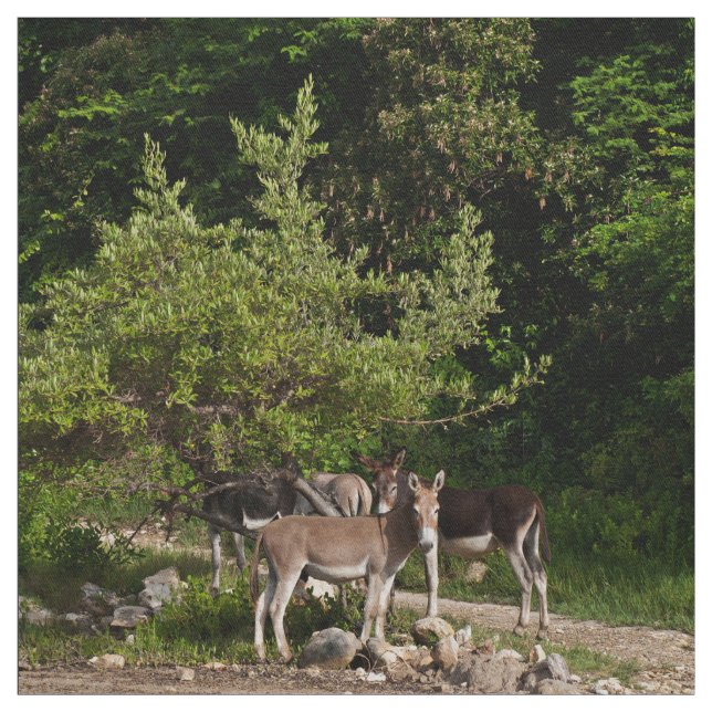 Donkeys under the Tree Fabric (Swatch)