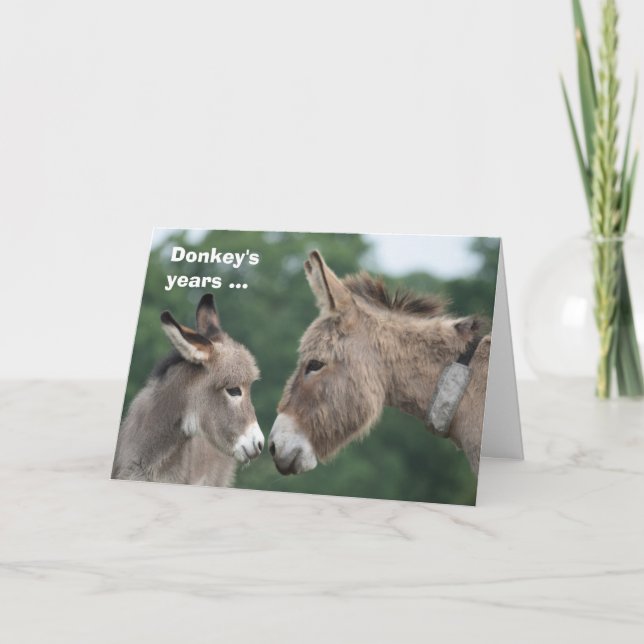 Donkey's years/ears card (Front)