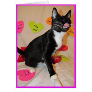 Donnez-moi un grand baiser - Chat Valentine's Day 