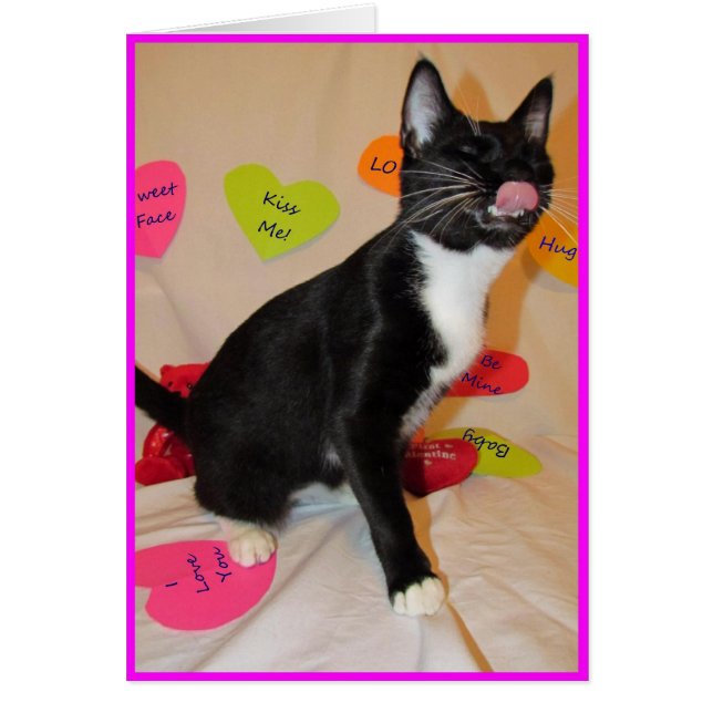 Donnez-moi un grand baiser - Chat Valentine's Day  (Devant)