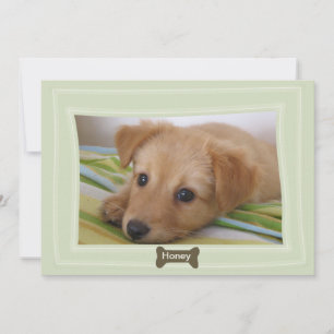 Donnez un chien à un os Photo Faire-part