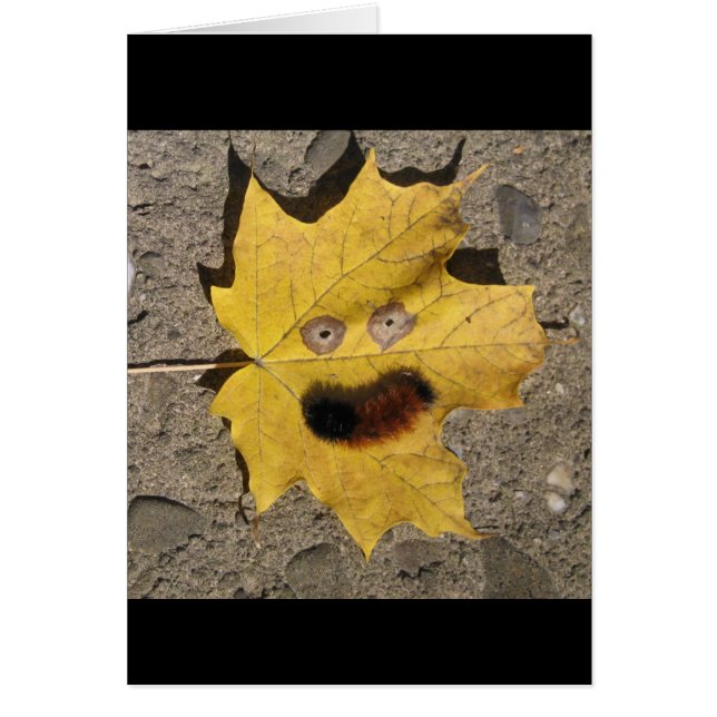 Donnez un sourire (Devant)