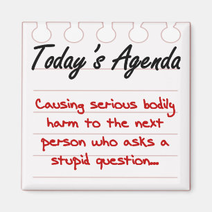 Don't Ask Stupid Questions Magnet