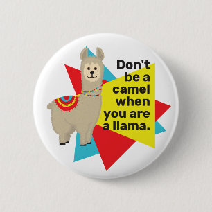 "Don't be a camel when you are a llama". Period. 2 Inch Round Button