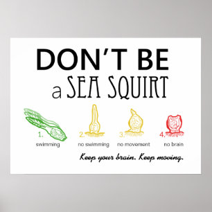Don't Be A Sea Squirt with Colour Images - Poster