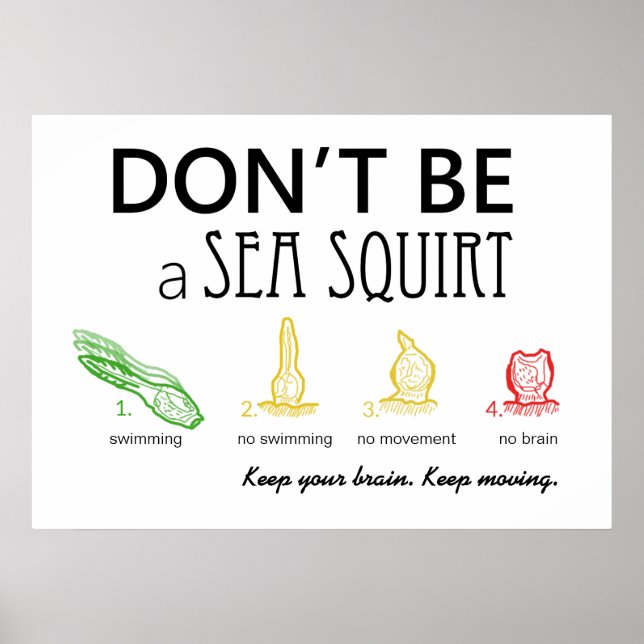 Don't Be A Sea Squirt with Colour Images - Poster (Front)