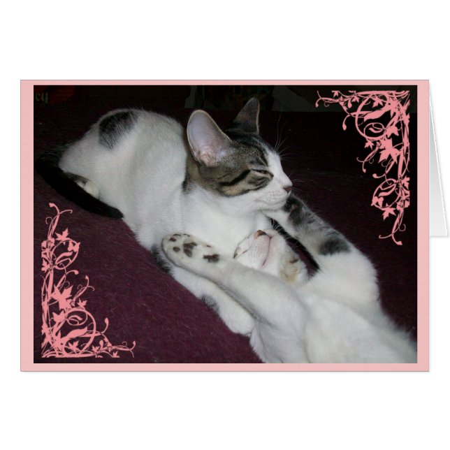 Don't Be a Stranger (Front Horizontal)