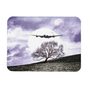 Don't Be Afraid To Imagine Magnet