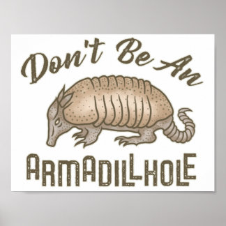 Don't be an Armadillhole Funny Armadillo Animal Poster