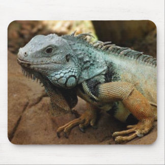 Don't be blue mouse pad