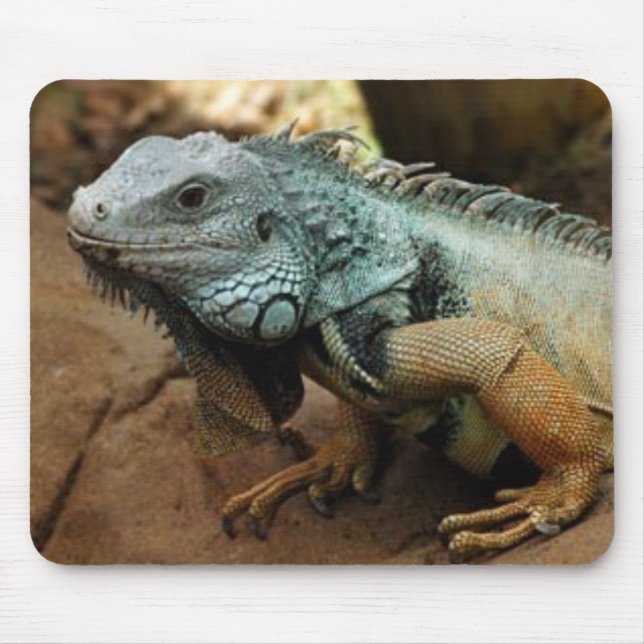 Don't be blue mouse pad (Front)