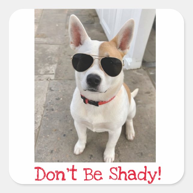 Don't Be Shady Cute Dog Magnet Square Sticker (Front)