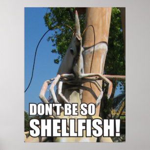 DON'T BE SO SHELLFISH! MEME POSTER