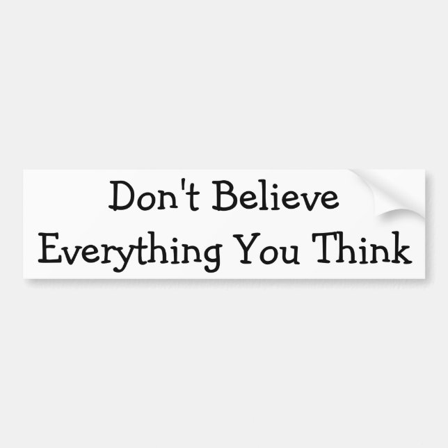 Don't Believe Everything Bumper Sticker (Front)