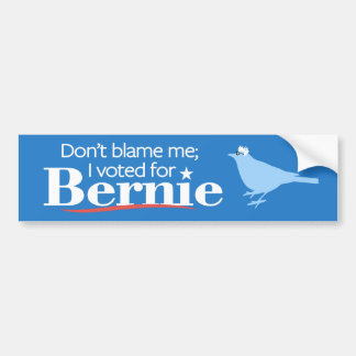 Don't Blame Me; I Voted for Bernie Bumper Sticker
