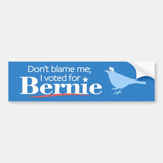 Don't Blame Me; I Voted for Bernie Bumper Sticker (Front)