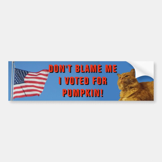 Don't Blame Me I Voted for Pumpkin Bumper Sticker (Front)