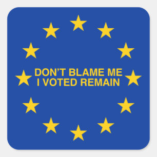 Don't blame me, I voted for Remain Square Sticker