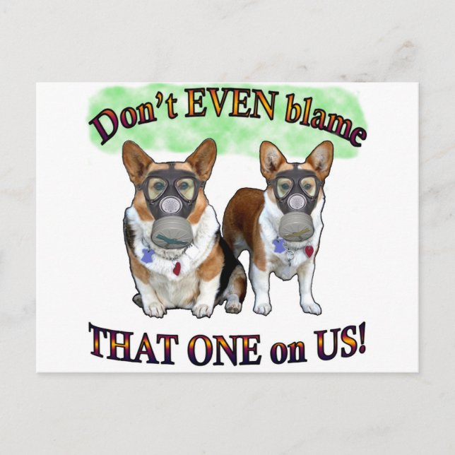Dont blame US Postcard (Front)