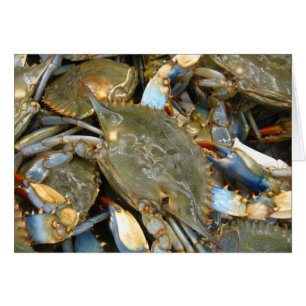 Don't Bother Me...I'm Crabby!