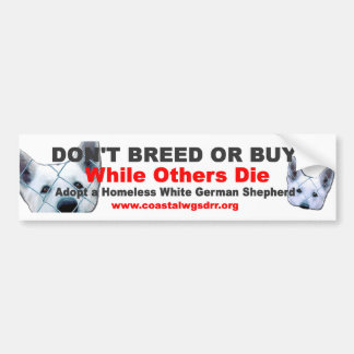 Don't breed or buy while others die bumper sticker