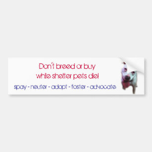 don't breed or buy while shelter pets die bumper sticker