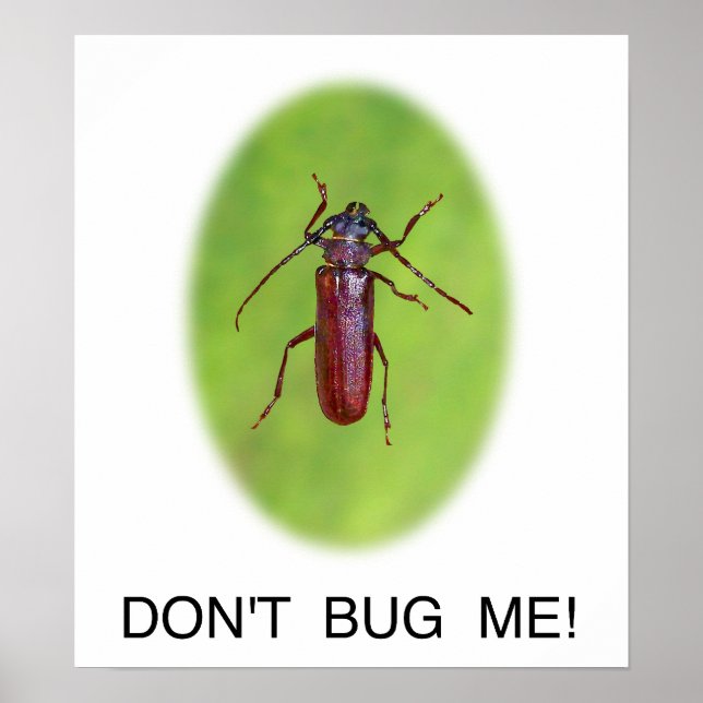 "Don't Bug Me!" Poster (Front)